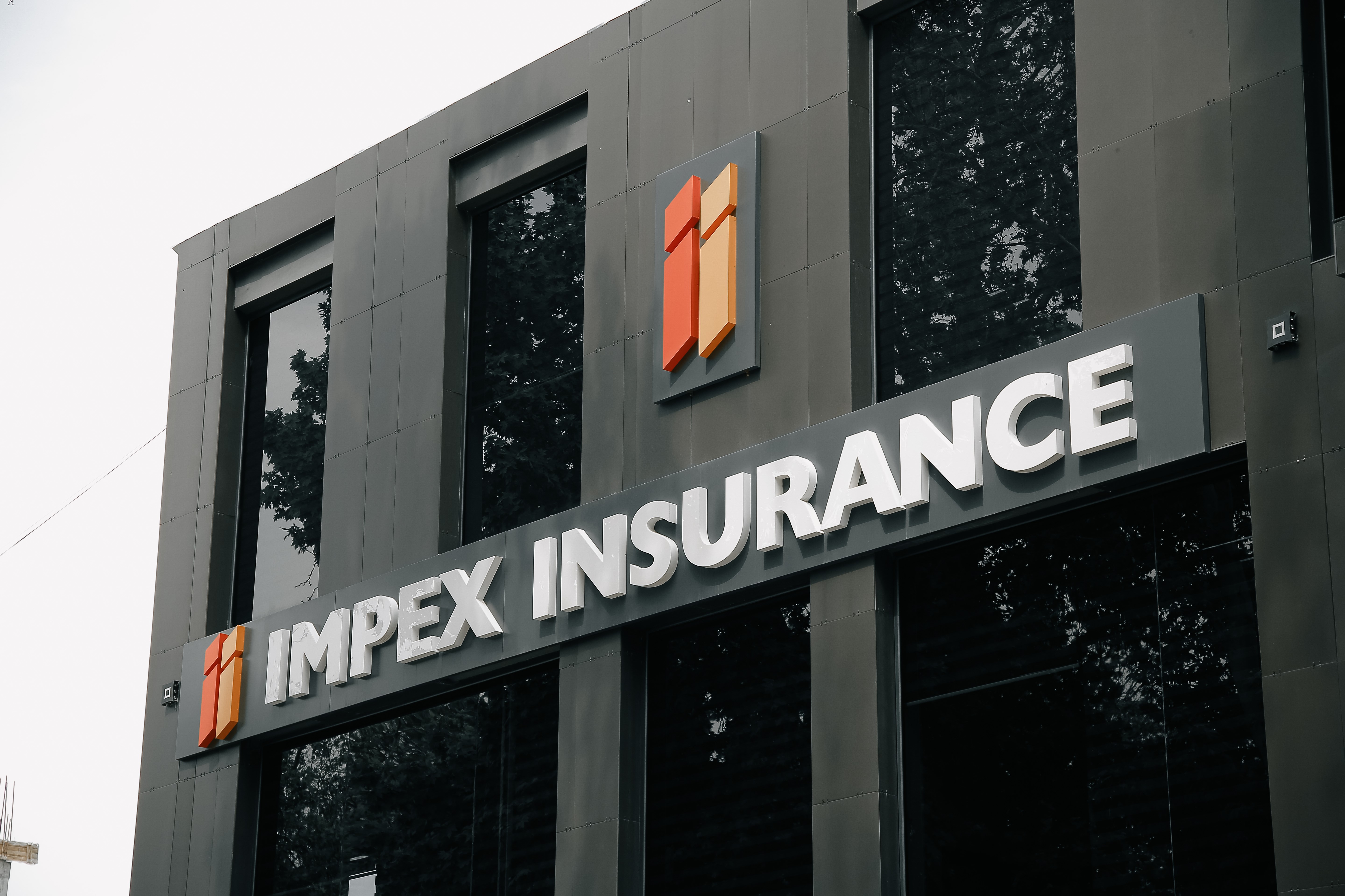 IMPEX-INSURANCE license issued